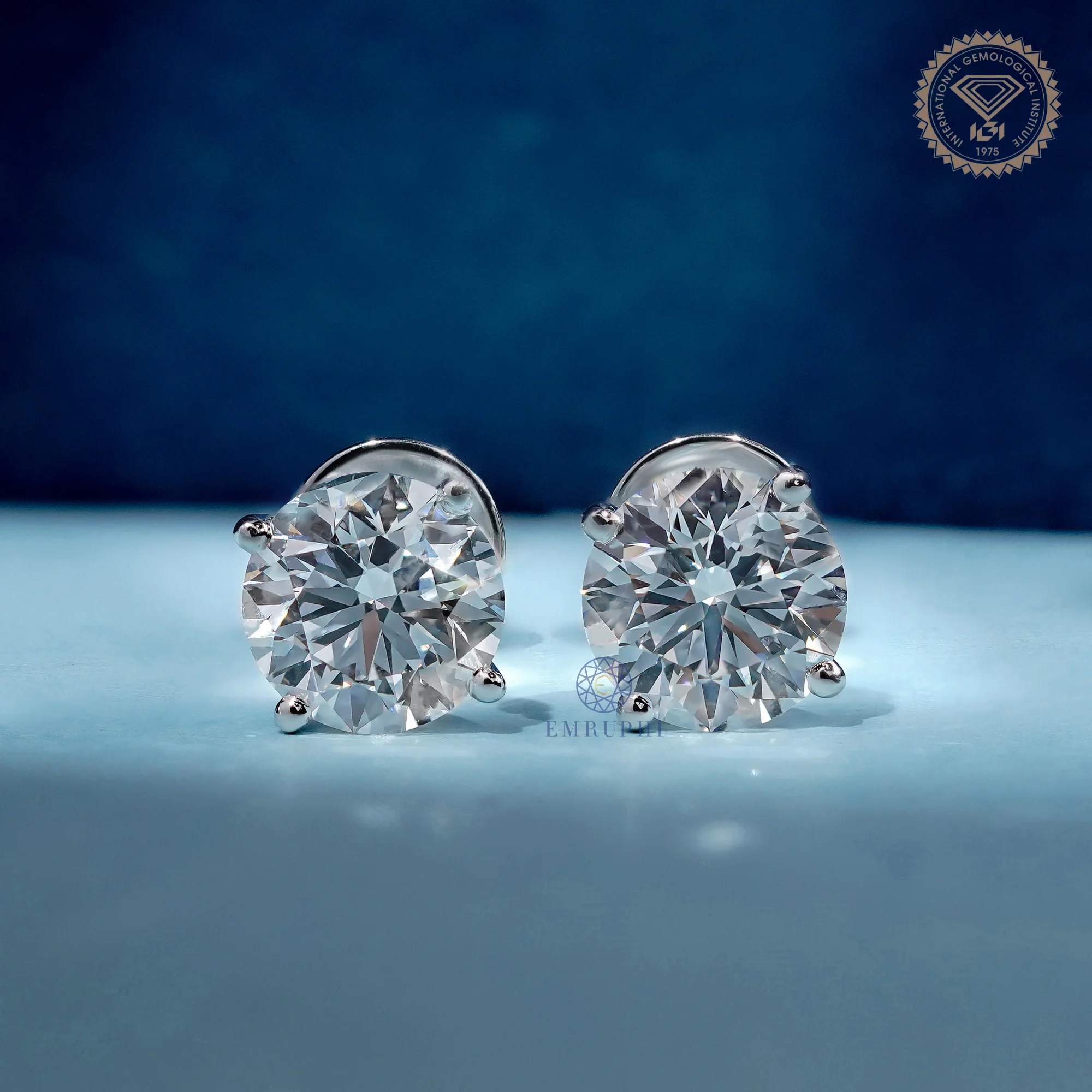 Earrings jewellery category