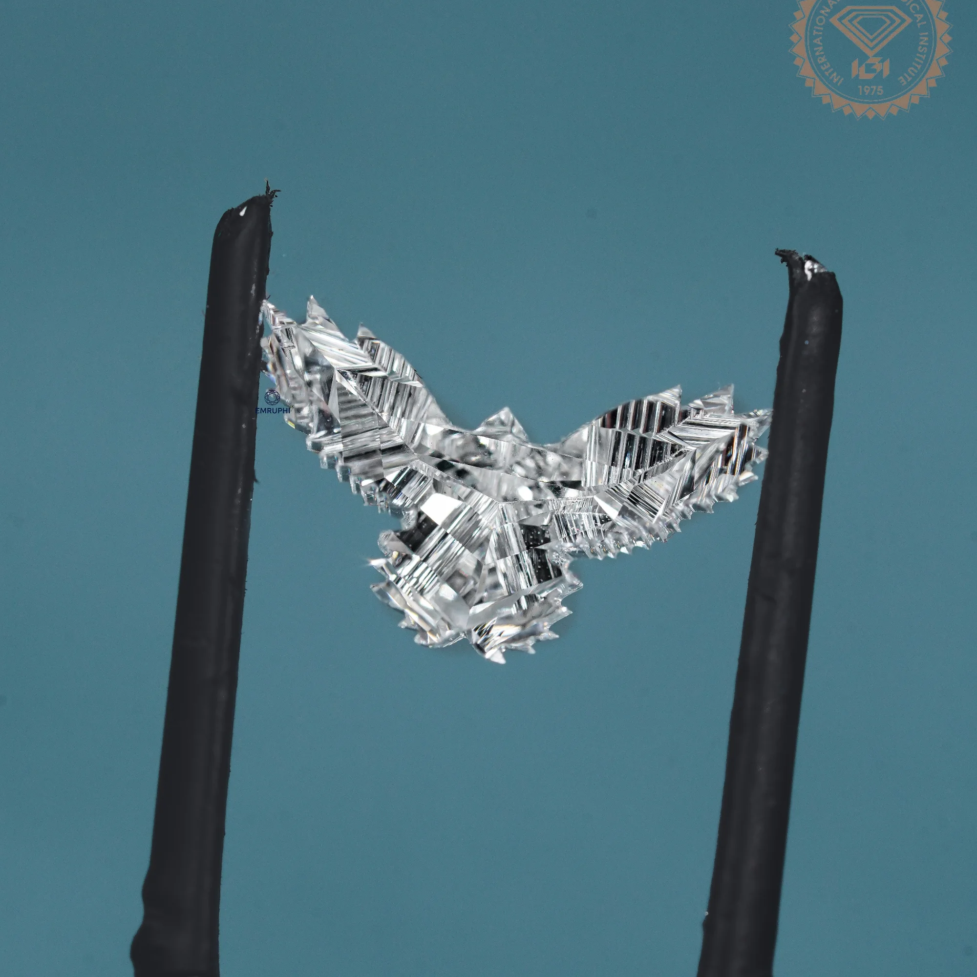 3.06 CT Eagle Cut Lab Grown Diamond, IGI Certified Bird Shape Loose Stone