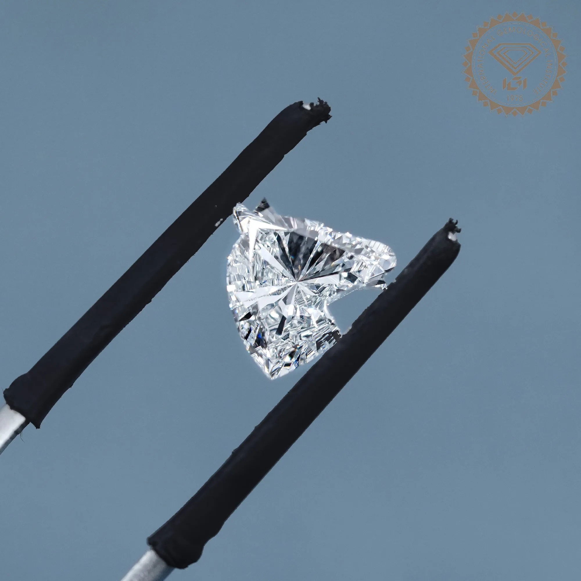 3.00CT Horse Cut Lab-Grown Diamond, Horse Head Shape CVD Diamond