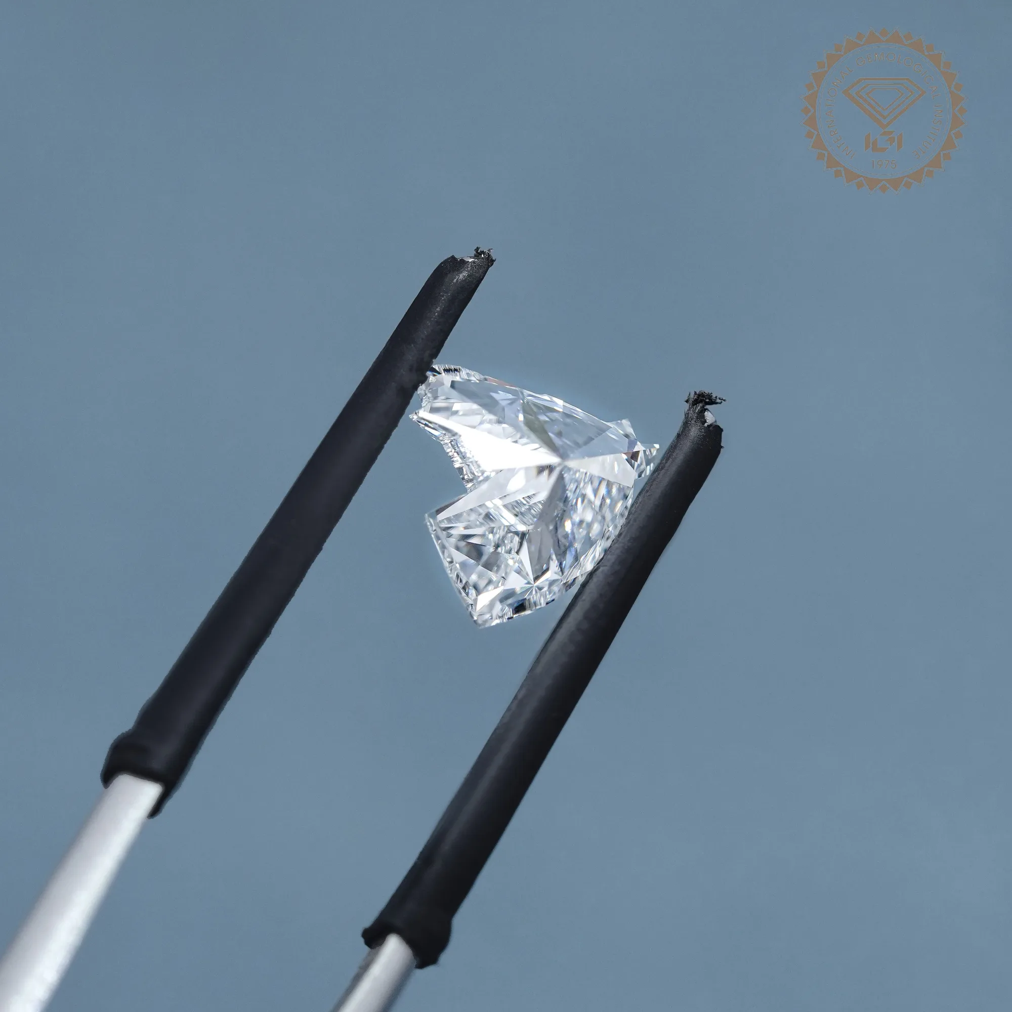3.00CT Horse Cut Lab-Grown Diamond, Horse Head Shape CVD Diamond — view 6